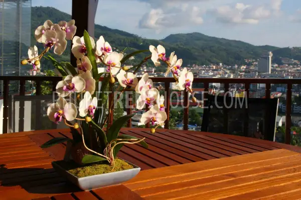 PAT19027: Large 5 Bedroom Villa with Breathtaking Sea Views in Patong. Photo #13