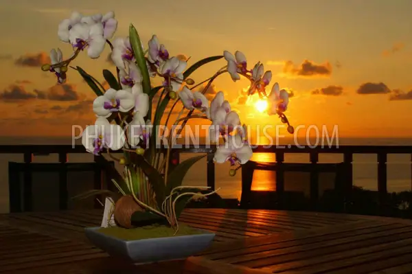 PAT19027: Large 5 Bedroom Villa with Breathtaking Sea Views in Patong. Photo #24