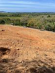 MAI3374: Full sea view land for sale in Mai Khao. Thumbnail #7