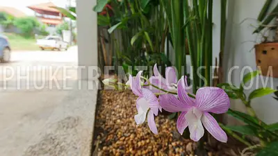 RAW19354: Elegant Pool Villa at Rawai- Nai Harn. Fotoğraf #22