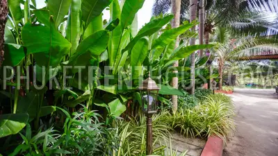 TAL19392: Stunning 1 Bedroom Private Pool Villa. Photo #51