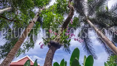 TAL19392: Stunning 1 Bedroom Private Pool Villa. Photo #52