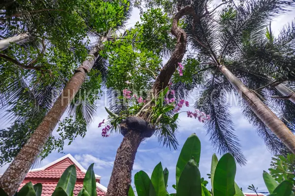 TAL19392: Stunning 1 Bedroom Private Pool Villa. Photo #52