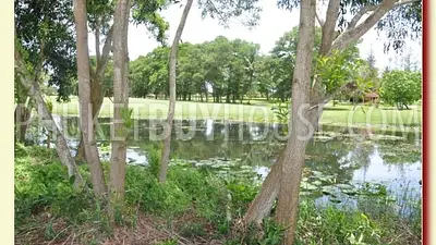 BAN3361: Luxury Laguna house for sale. Fotoğraf #16