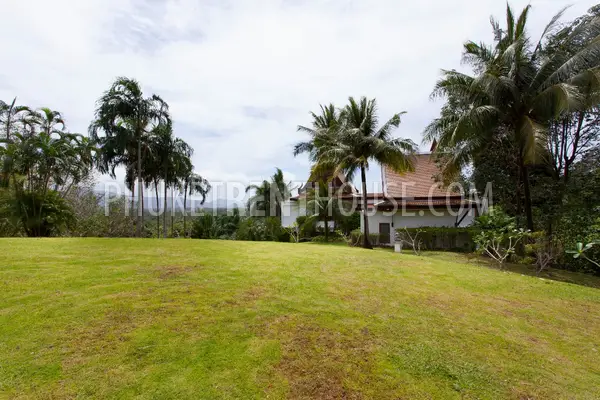 LAY20394: Exclusive 4 Bedroom Villa with Swimming Pool in Layan. 照片 #3
