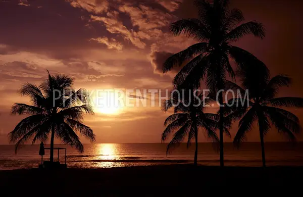 PHA20435: Glamorous 3 Bedroom Villa on the Natai Beach. Photo #32