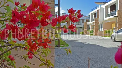 RAW3596: Premium 3 Bedroom Townhome. Special Promotion!. Fotoğraf #15