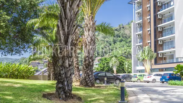 KAR20749: Sea View 1 Bedroom Studio in quiet area in Karon. 照片 #6