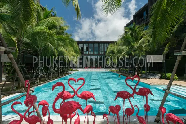 NAI20848: Amazing pool view apartment with 2 bedrooms in Nai Harn. Фото #27