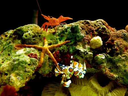 Excursions in Phuket