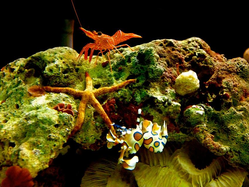 Excursions in Phuket