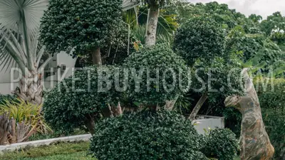 KAM5544: Stunning Sea View 6 Bedroom Villa Overlooking in Kamala. Photo #66