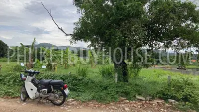 RAW21712: Big land plot in Rawai for sale. Photo #3