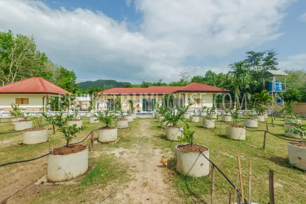 TAL3783: Luxury 4 bedroom Villa and Pool in Talang. Photo #40
