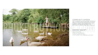 THA23124: Вилла с 4 спальнями, бассейном и видом на озеро в Таланге, Пхукет. Фото #25