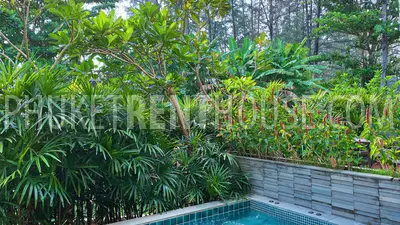 NAT20722: Wonderful 2 Bedroom Apartment in Nai Thon close to the Sea. Fotoğraf #33