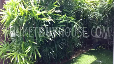 TAL3920: Duplex Twin House for sale, Thalang. Photo #8