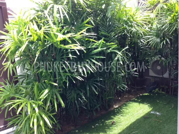 TAL3920: Duplex Twin House for sale, Thalang. Photo #8