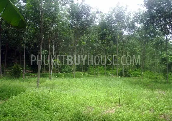 TAL3928: Land for Sale. Photo #4