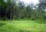 TAL3928: Land for Sale. Миниатюра #4