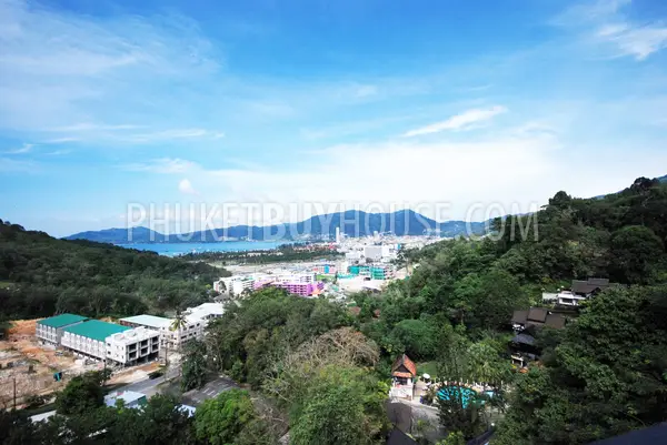 PAT875: Patong Luxury 4 bed Villa (Sea-View). Photo #3