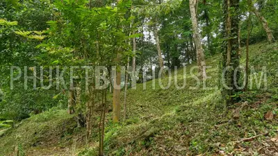 PAT23166: Kalim Seaview Land for Sale in Patong, Phuket. Photo #10