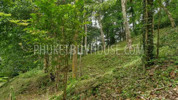 PAT23166: Kalim Seaview Land for Sale in Patong, Phuket. Photo #10