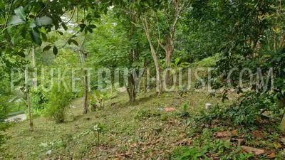 PAT23166: Kalim Seaview Land for Sale in Patong, Phuket. Photo #9