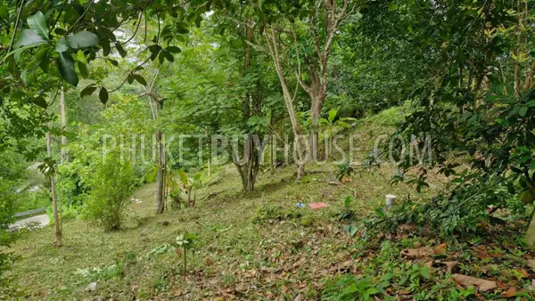 PAT23166: Kalim Seaview Land for Sale in Patong, Phuket. Photo #9