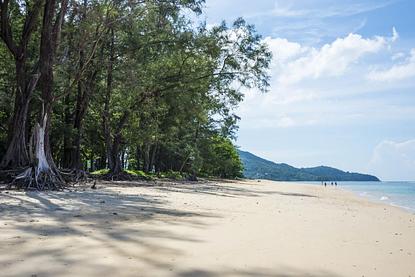 Phuket Real Estate Guide. Nai Yang beach