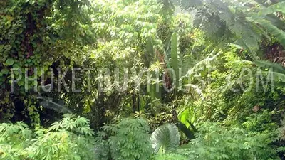 NAT3961: Seaview Naithon Beach. Фото #1