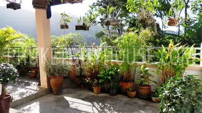 PAT4039: Patong condominium for Sale. Фото #7