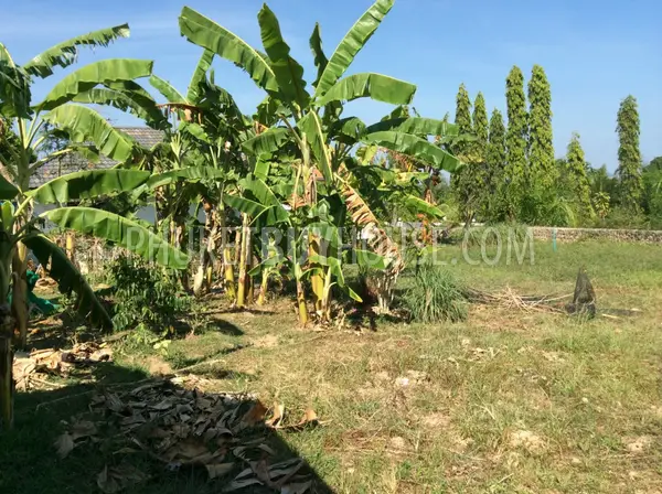 CHA4219: Plot of land 2 Rai with Seaview in Chalong. Photo #4