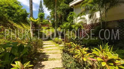 KAM21765: Three Villas with 7 Bedrooms in Total in Kamala Area. Photo #30