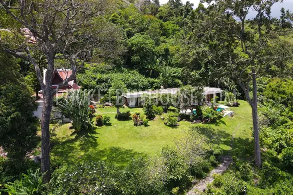 KAM21765: Three Villas with 7 Bedrooms in Total in Kamala Area. Photo #36