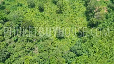 MAI21791: Over 11.000 sq.m. of land in Mai Khao. Photo #7