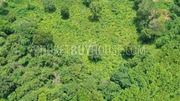 MAI21791: Over 11.000 sq.m. of land in Mai Khao. 照片 #7