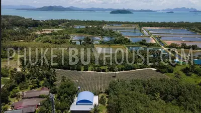 EAS21792: Big Land Plot in Paklok. Photo #1