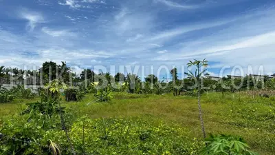 BAN21812: Land in Bang Tao, 7 rai (11200 m²). 照片 #3