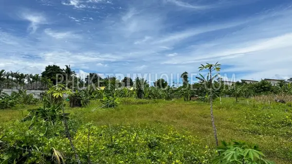 BAN21812: Land in Bang Tao, 7 rai (11200 m²). 照片 #3