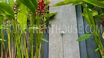 RAW21782: Pool Villa for Rent in Rawai. Fotoğraf #45