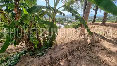 CHA21784: SeaView Plots in Chalong. 照片 #2