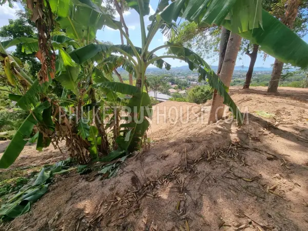 CHA21784: SeaView Plots in Chalong. Photo #2