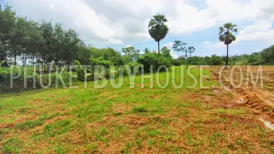 EAS21792: Big Land Plot in Paklok. Photo #4