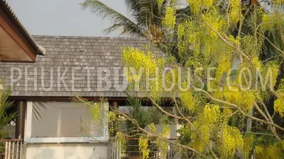 BAN4409: Rush to sale 3 Bedrooms in Bangtao. 照片 #32