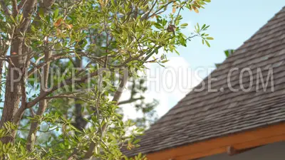 TAL21829: Three Bedroom Pool Villa in Thalang Area. Photo #16