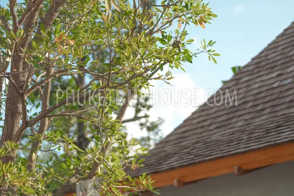 TAL21829: Three Bedroom Pool Villa in Thalang Area. 照片 #16