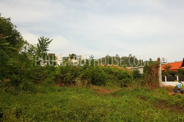 NAI4488: Land area 1600 sqm for sale near Nai Harn beach. Photo #6