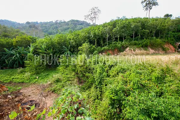 NAI4488: Land area 1600 sqm for sale near Nai Harn beach. Photo #18