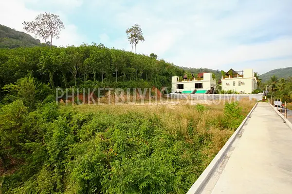 NAI4488: Land area 1600 sqm for sale near Nai Harn beach. Photo #19